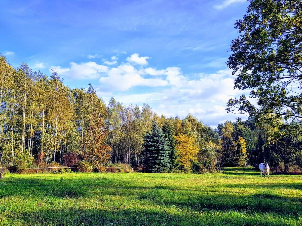 Reglówka Wola Krakowianska Exterior foto